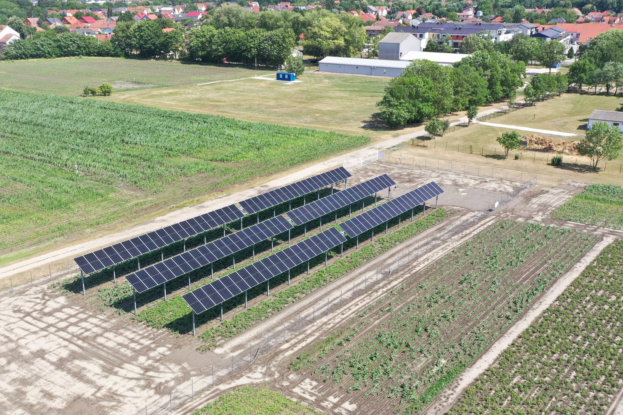 oasis_greentech (2).jpg